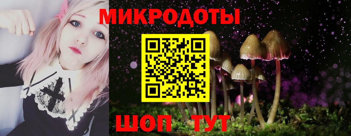 Ржев  Галлюциногенные грибы мухоморы  Вход с VPN  Псилоцибиновые грибы прущие грибы 